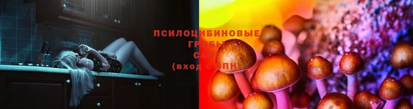 прущая мука Богданович