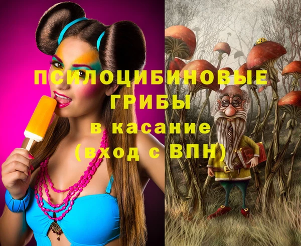 PSILOCYBIN Ступино