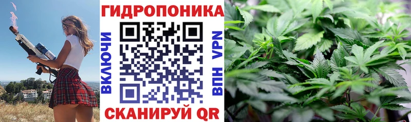 продажа наркотиков  Михайлов  Шишки марихуана SATIVA & INDICA 